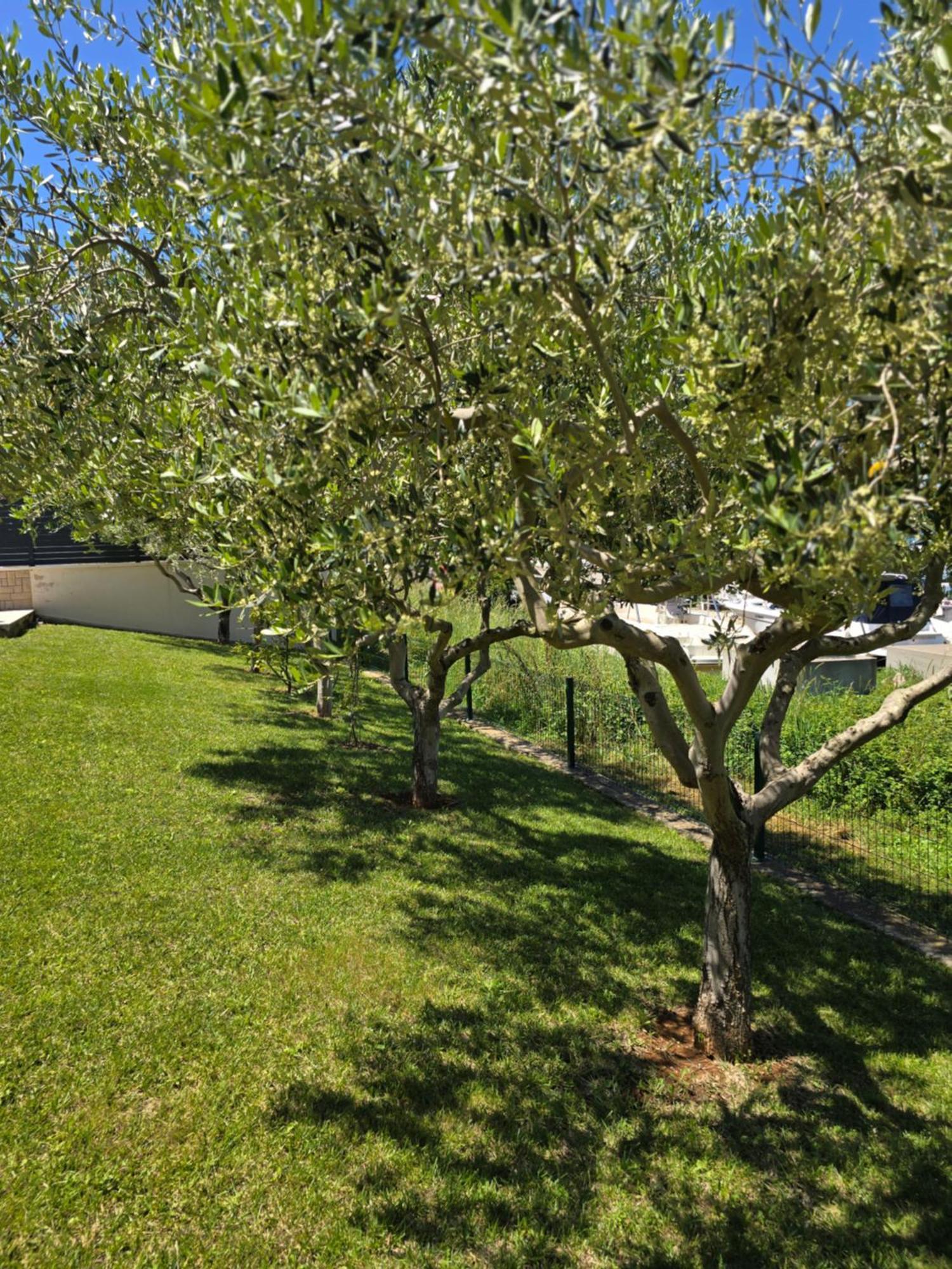 Olive Garden, Apartment With A Private Pool Banjole Kültér fotó